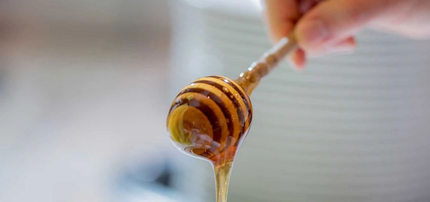 Köstlich schmeckender Honig am Frühstücksbuffet
